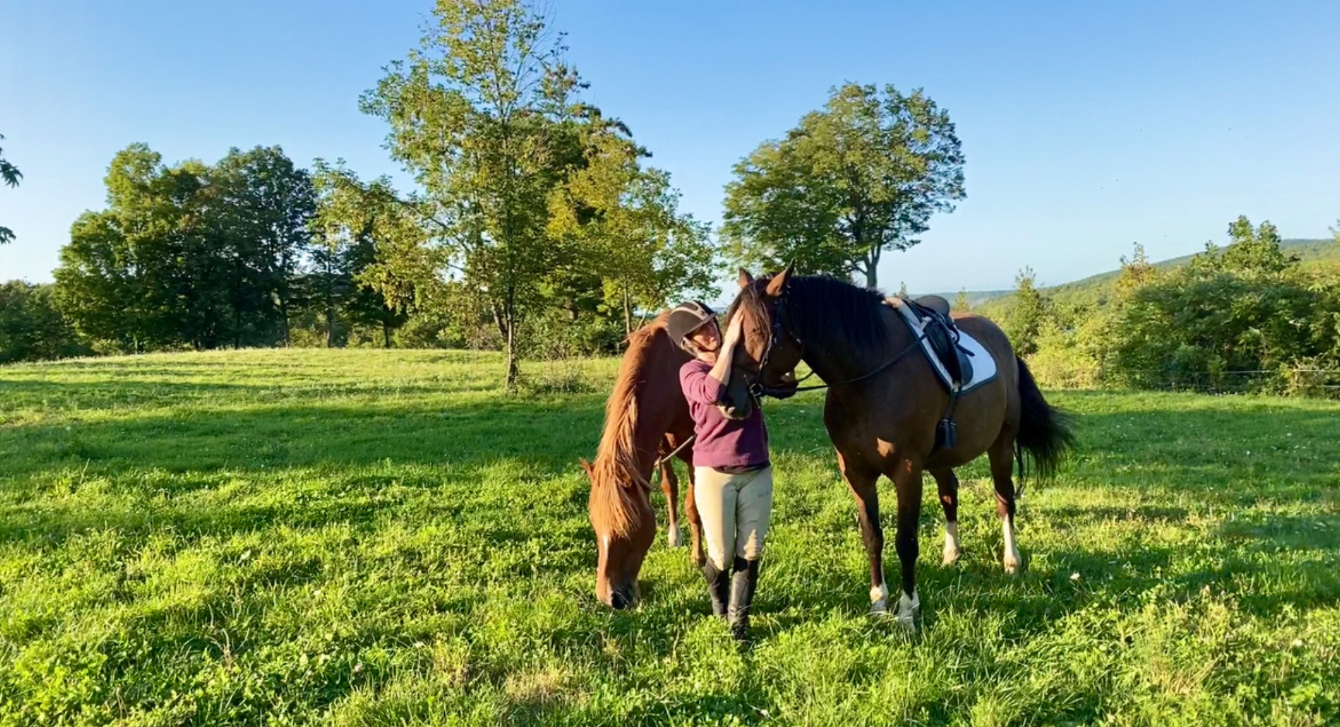 Scratching After a Ride